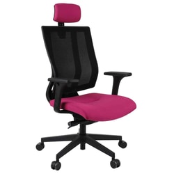 Biroja krēsls MaxPro BS HD Note, auduma tonis rozā N12, melna pamatne