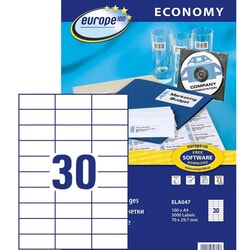 Uzlīmes Avery Economic, 70x29.7mm, 100 loksnes