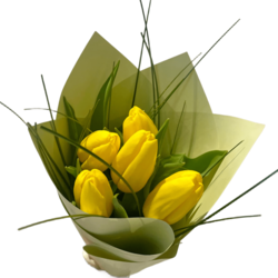 Tulpes, dzeltenas, 5gab.
