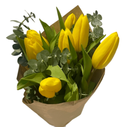 Tulpes, dzeltenas, 7gab.